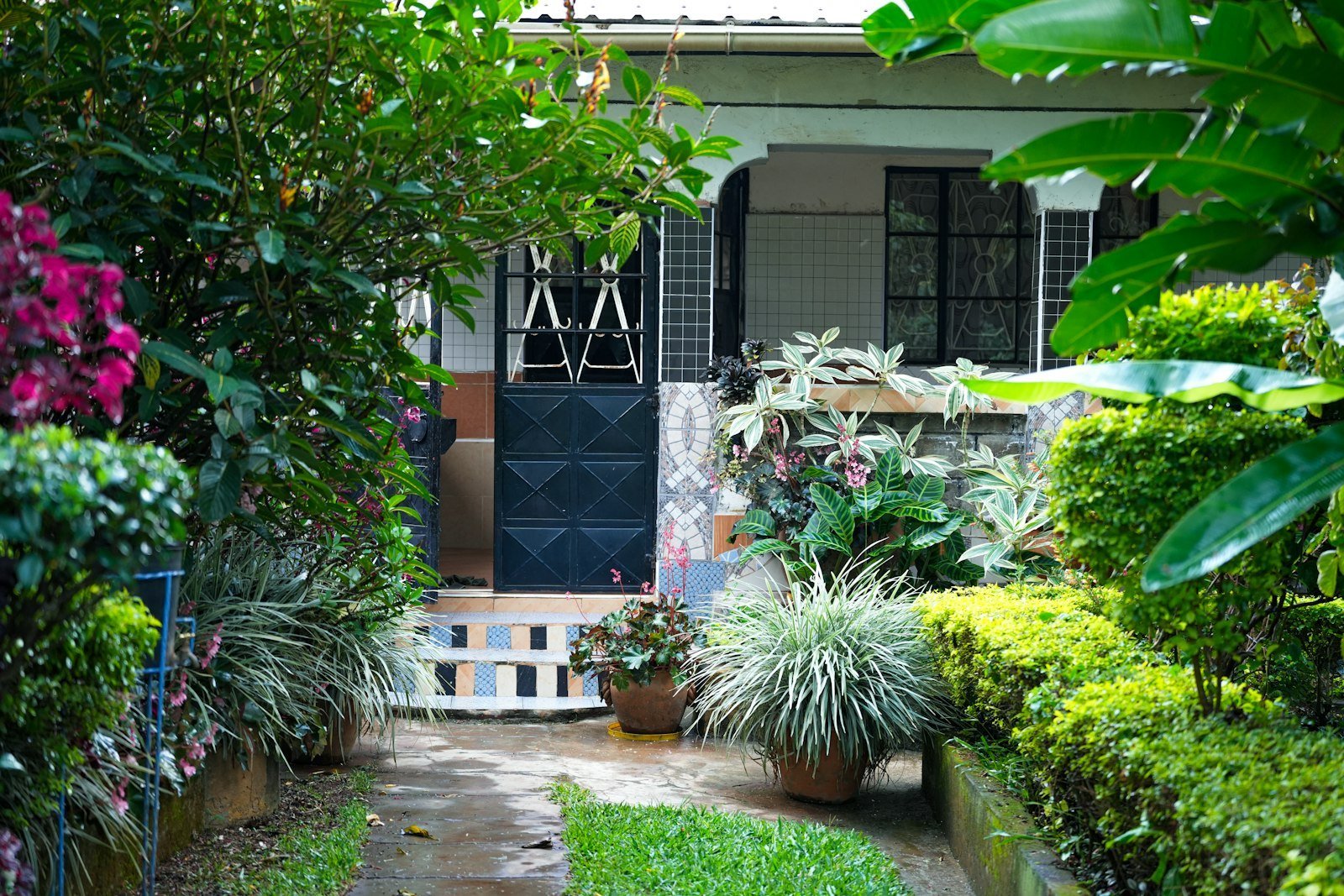 Jalan setapak taman dengan tanaman hias di depan rumah